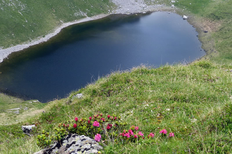 3 luglio 2016 - Lac dei Negher