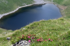 3 luglio 2016 - Lac dei Negher