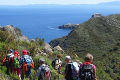 13-18 aprile 2017 - Trekking pasquale (Isola di Capraia)