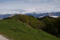 7 maggio 2017 Da malga Garda al monte Cesen