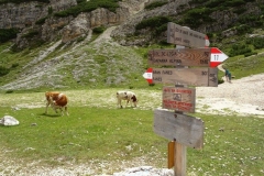 9 luglio 2017 - Traversata di Fanes Col Becchei