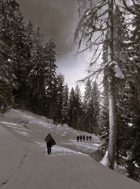 Fertazza-2026-invernale-3