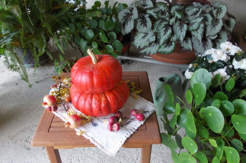 2 ottobre 2016 - Gorizia e il Collio