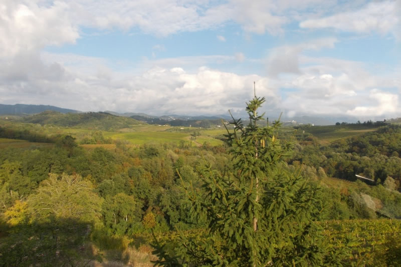 2 ottobre 2016 - Gorizia e il Collio