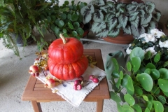 2 ottobre 2016 - Gorizia e il Collio