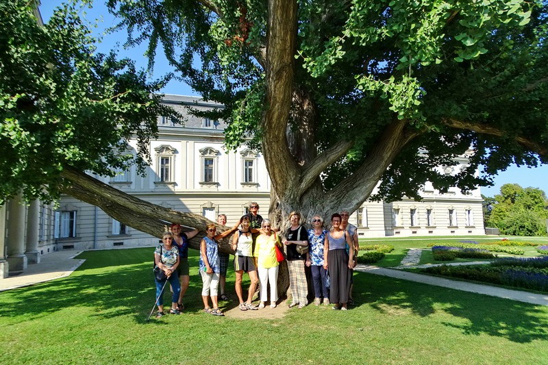 16â€“30 agosto 2018 - Cure naturali in Ungheria