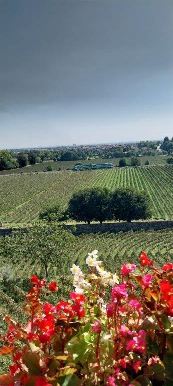 Iseo-treno-dei-sapori-panorama