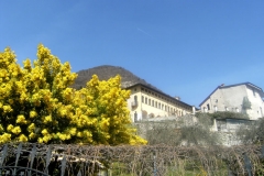 20 marzo 2016 - Lago di Iseo