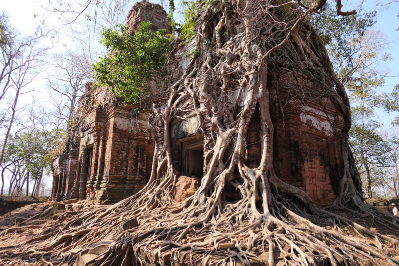 Laos e Cambogia - febbraio 2020