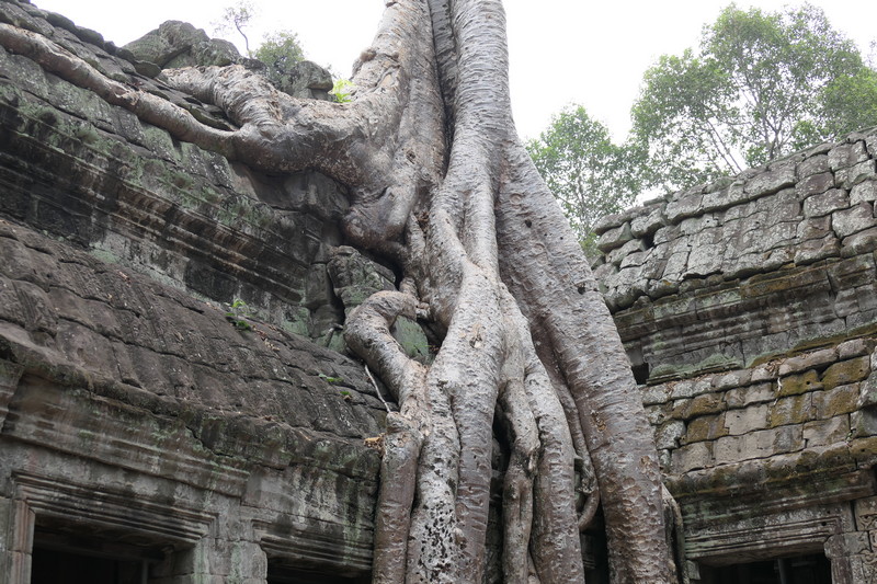 Laos e Cambogia - febbraio 2020