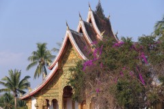 Laos e Cambogia - febbraio 2020