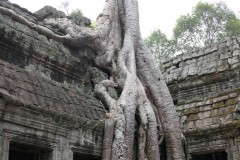Laos e Cambogia - febbraio 2020