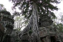 Laos e Cambogia - febbraio 2020