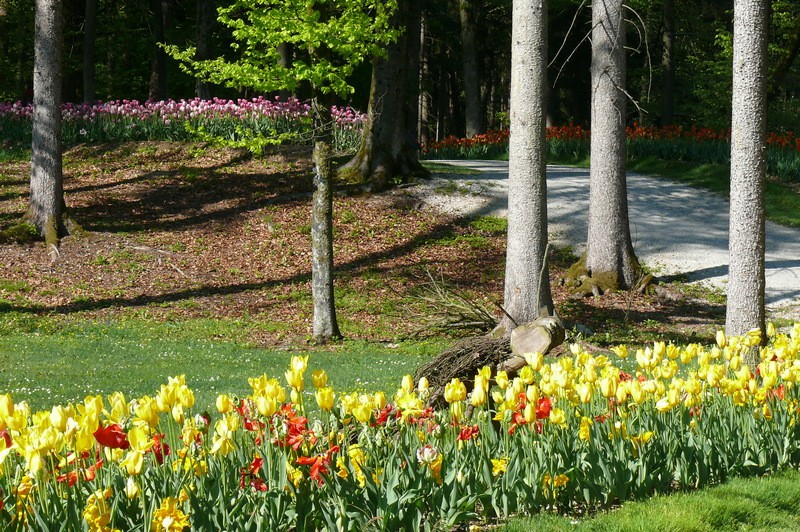 30/04/2017 - Lubiana e l'Arboretum