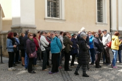 30/04/2017 - Lubiana e l'Arboretum