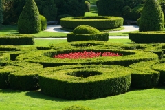 30/04/2017 - Lubiana e l'Arboretum