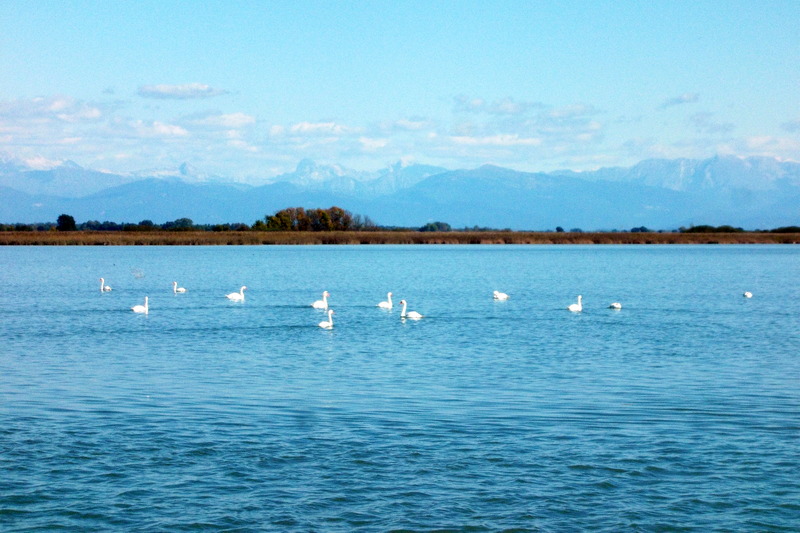 25 settembre 2018 - Laguna di Marano