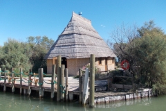 25 settembre 2018 - Laguna di Marano