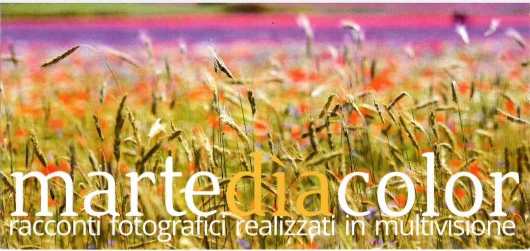Martediacolor 2016