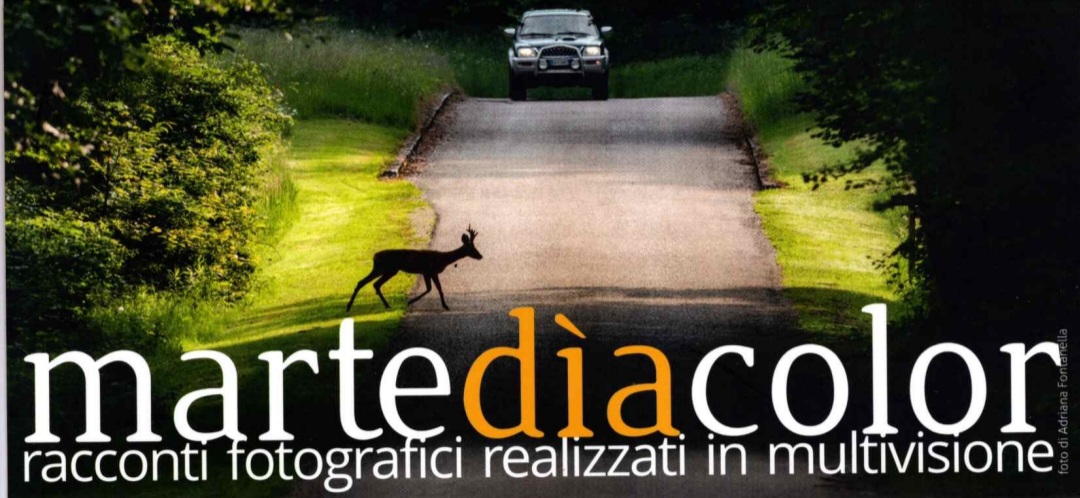 Martediacolor 2018