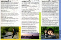 programma 2013