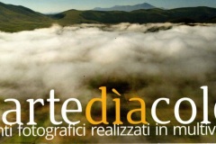 Martediacolor 2014
