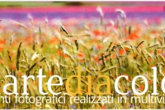 Martediacolor 2016