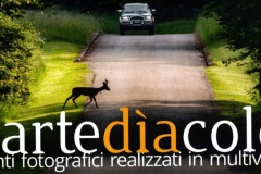 Martediacolor 2018