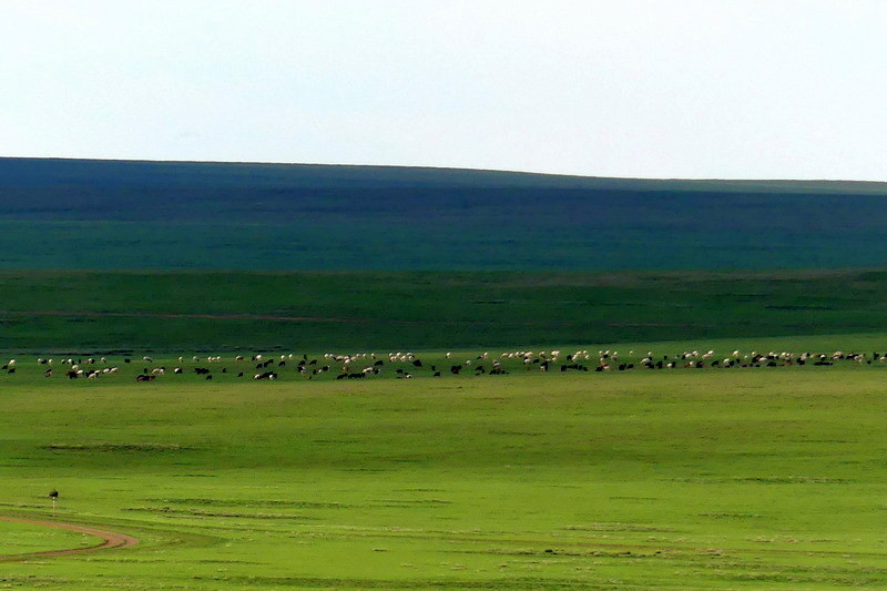 16-30 luglio 2019 - Mongolia il cuore nomade dell\'Asia