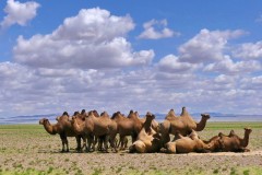16-30 luglio 2019 - Mongolia il cuore nomade dell\'Asia