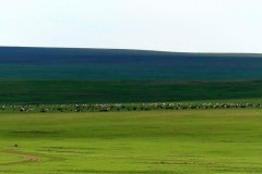 16-30 luglio 2019 - Mongolia il cuore nomade dell\'Asia
