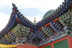 16-30 luglio 2019 - Mongolia il cuore nomade dell'Asia