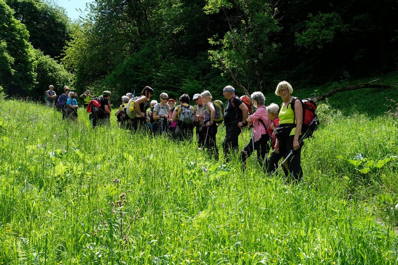 30 maggio 2021 - Escursione al Monte Caina