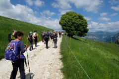30 maggio 2021 - Escursione al Monte Caina