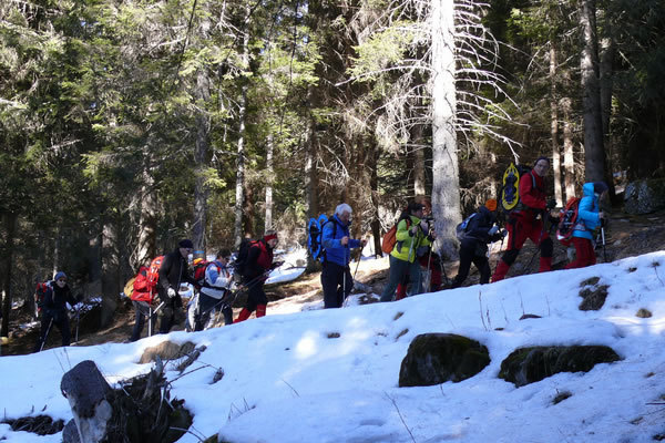 Malga Bocche 2012
