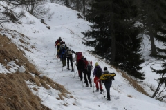Spiz de Zuel 2012