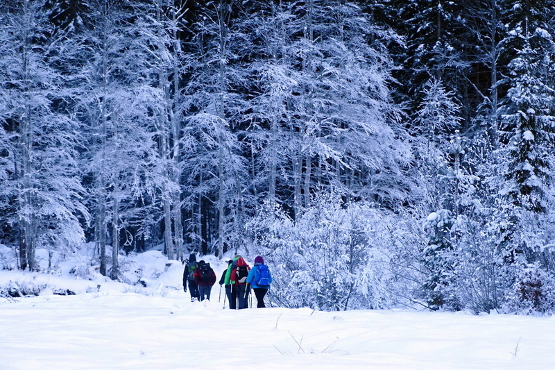 27-29 gennaio 2017 - Fine settimana sulla neve