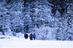 27-29 gennaio 2017 - Fine settimana sulla neve