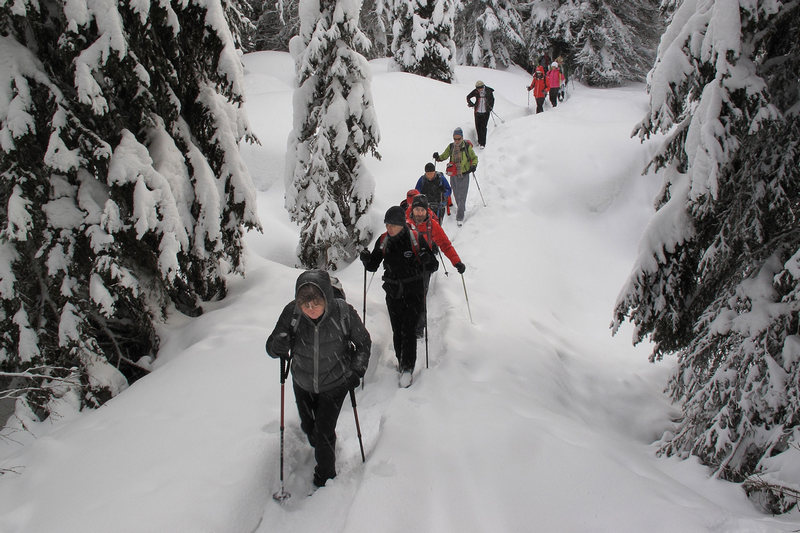 21/01/2018 - Traversata Alpe di Nemes