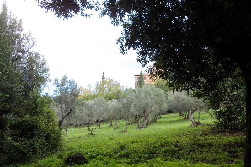 7-9 ottobre 2016 - Ostia e i Castelli Romani