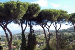 7-9 ottobre 2016 - Ostia e i Castelli Romani