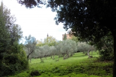 7-9 ottobre 2016 - Ostia e i Castelli Romani