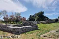 Altari-sacrificali-Paestum