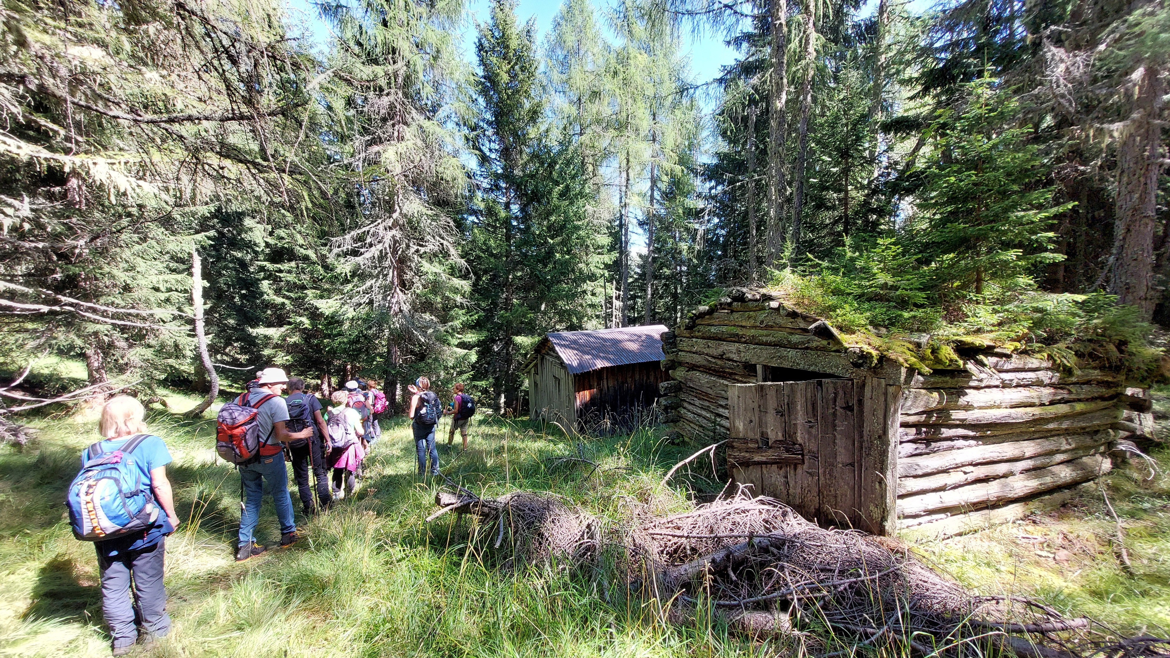 Piz-de-Guda-2025-rientro-nel-bosco
