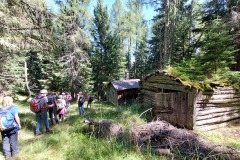 Piz-de-Guda-2025-rientro-nel-bosco