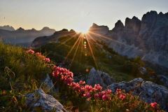 Alba-dal-rifugio