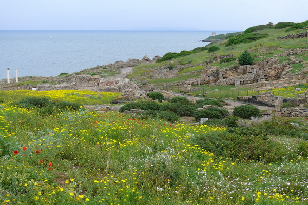 17â€“24 maggio 2018 - Sardegna e la tradizionale Cavalcata Sarda
