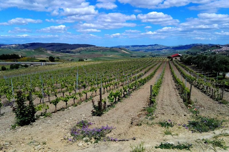 4-10 maggio 2019 - Sicilia orientale