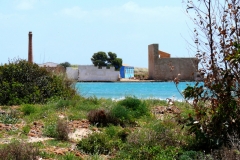 4-10 maggio 2019 - Sicilia orientale