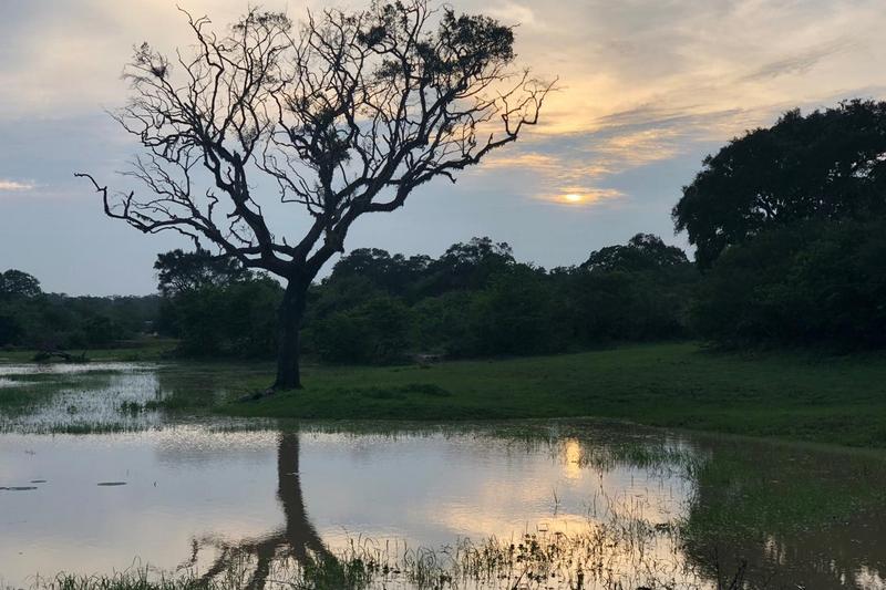 2-12 novembre 2018  -  Sri Lanka